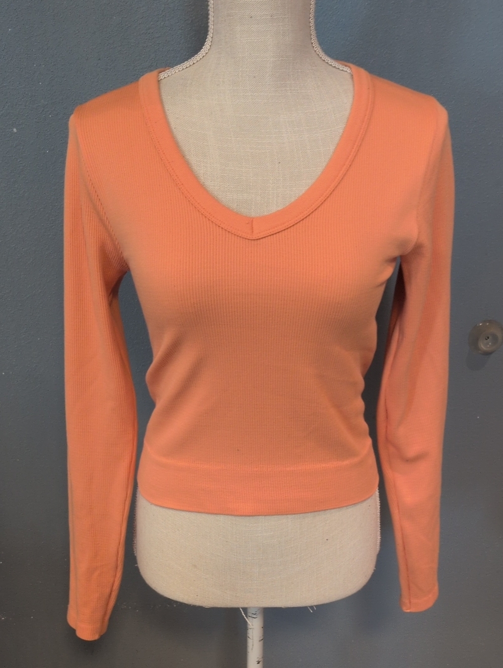 Faded Rose Ribbed Knit V-neck Fitted Cropped Style Long Sleeve Top 90's Y2K